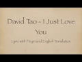Download Lagu David Tao 陶喆 - I Just Love You 就是爱你 with Pinyin and English Translation