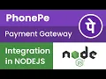 PhonePe Payment Gateway Integration in Nodejs Hindi Phone Pe Payment Gateway in Reactjs
