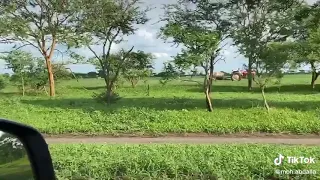 البطانة خريف 2020 