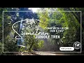 Lagu 6 day jungle trek in Sumatra, Indonesia - most beautiful jungle ever!
