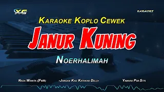 Download Janur Kuning Karaoke Koplo Nada Cewek - (Noerhalimah) MP3