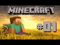 Minecraft Episode 1 - Everyone starts somewhere