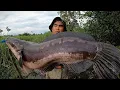 Download Lagu MANCING IKAN TOMAN‼️BERUNTUNG NEMU SPOT TOMAN SEPERTI INI. CESTING SNAKEHEAD