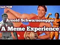 Arnold Schwarzenegger - A Meme Experience