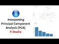 How to Interpret Principal Component Analysis PCA Results in R Studio Data Analysis Explained