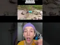 Download Lagu REAL LIFE DINOSAUR CAUGHT ON CAMERA (Crazy) #shorts #reaction