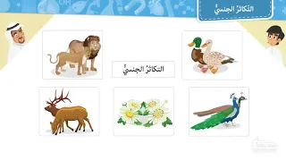 تعريف التكاثر الجنسي Clip0 Online Video Cutter Com 1 