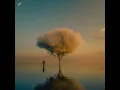 Shades of You - Fejká & Henry Green