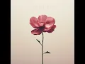 Gratitude