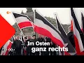 Download Lagu Geschichte der Rechtsradikalisierung in Ostdeutschland | Terra X