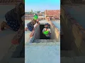 Download Lagu Anaya Ko Dara Diya Papa Ne😳