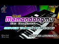 Download Lagu MEMANDANGMU || IKE NURJANAH (cover) Tanpa Kndang