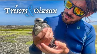 Nous explorons d’anciennes ÉPAVES dans l’archipel des Aves