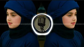 Alex Ferrari Bara Bere Burak Balkan Club Remix 2025 