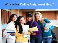 What does Online Assignment Help Websites do