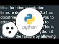 What does - mean in Python function definitions