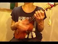 アイノウタ/Tani Yuuki(概要欄歌詞ｺｰﾄﾞ付き)【ウクレレ弾き語り】