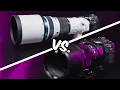 Best Wildlife Photography Lens for MFT Comparison