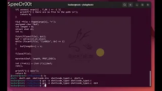C lang read and execute shellcode from a File
