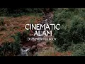 cinematic aestetik alam 30 detik|dj move your body