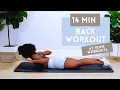 Download Lagu 14 MINUTE BACK WORKOUT FOR STRONGER BACK + BETTER POSTURE | NO EQUIPMENT | BEGINNER + INTERMEDIATE