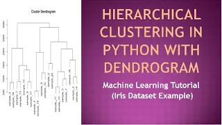 Hierarchical Clustering in Python with Dendrogram Machine Learning Tutorial Iris Dataset Example