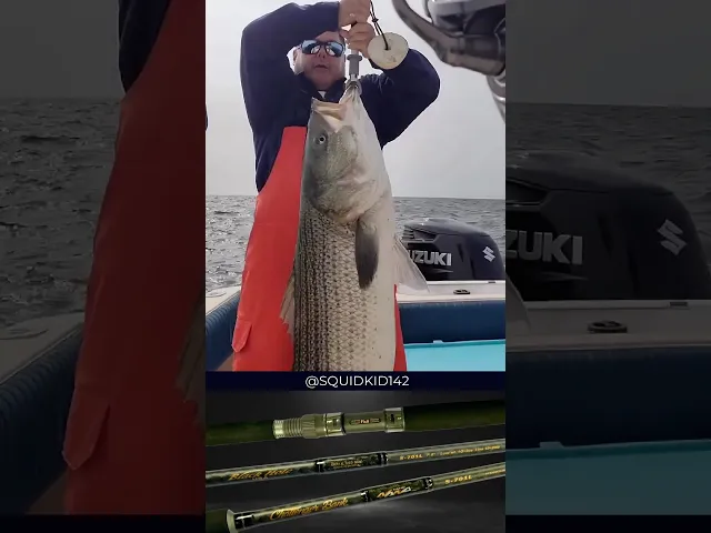 Black Hole USA Challenger Bank Rods