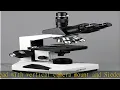 AmScope T490 Compound Trinocular Microscope WF10x Eyepieces 40X-1000X Magnification Brightfield