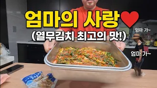 엄마는 가셨지만 열무김치는 남았다...★ ㅋㅋㅋ (ft. 기가 막힌 열무국수 레시피)