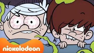 lincoln and lynn share a bedroom the loud house nick uk