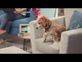 Febreze Wave Commercial Campaign