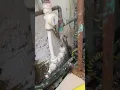 I dont know why 9 engineers couldn t solve this