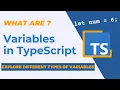TypeScript Variables Understanding Types and Declarations
