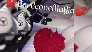  romanegila 2019 smutno gilory palso tu 