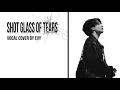 Download Lagu Vocal Cover `Shot Glass Of Tears` - Jungkook / by Evy