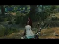 If You See Hooded Women In Toussaint DO THIS Witcher 3