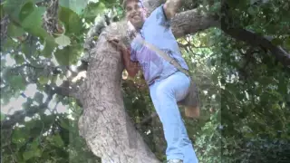                                             دندنها