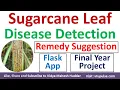 AI-Driven Sugarcane Leaf Disease Detection with Flask App using Machine Learning Vidya Mahesh Huddar