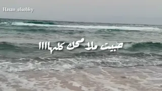 عمرو دياب حبيت ملامحك كلهااا   دندنها