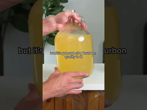 COCONUT MEAD? (ONE MONTH UPDATE)