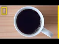 Download Lagu Caffeine 101 | National Geographic