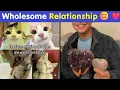 Wholesome Relationship Memes That Will Warm Your Heart And Make You Smile Happy And Fun