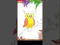 Owl drawing and Coloring