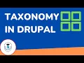 Drupal 10 Tutorial - How to create taxonomy in Drupal