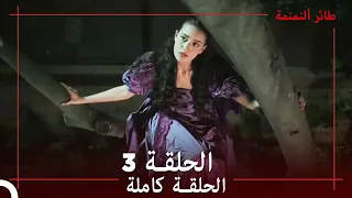 طائر النمنمة الحلقة 3 جودة عالية 