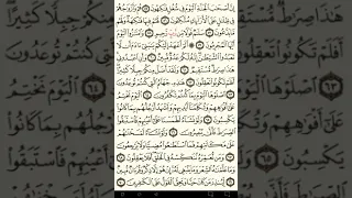 ماهر المعيقلي سورة يس مكتوبة صفحة 444 مصحف المدينة المنورة جودة عالية 