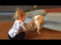 saving cute animals compilation baby animals compilation 2021