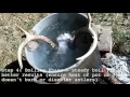 How To Make A Skull Cap Antler Mount - WildBuck