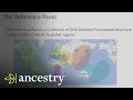 AncestryDNA Breaking Down the Science Behind Ethnicity Results Ancestry