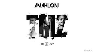 4 tmz amahloni ft kid x official audio seeds album